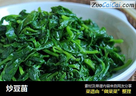 炒豆苗