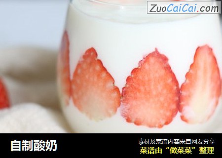 自制酸奶