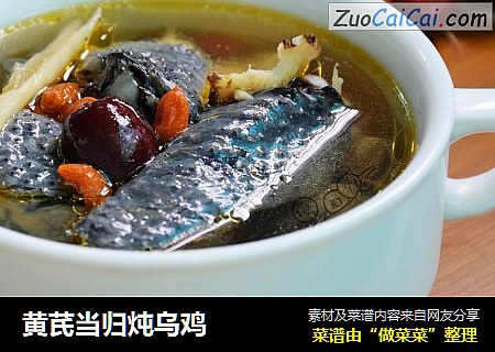 黄芪当归炖乌鸡