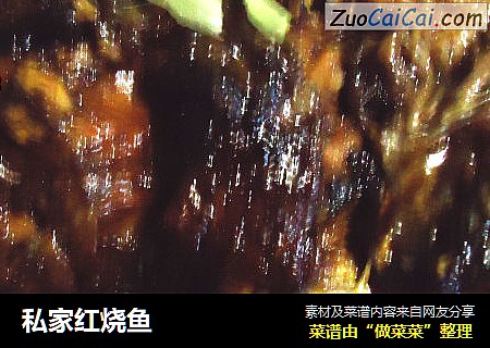 私家红烧鱼