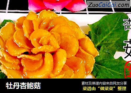 牡丹杏鲍菇