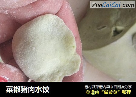 菜椒猪肉水饺