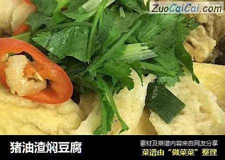 猪油渣焖豆腐