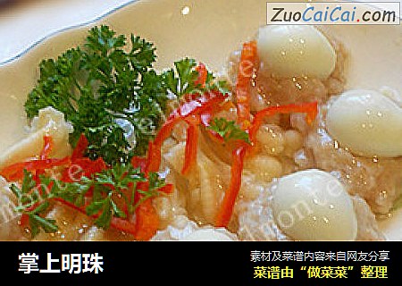 掌上明珠