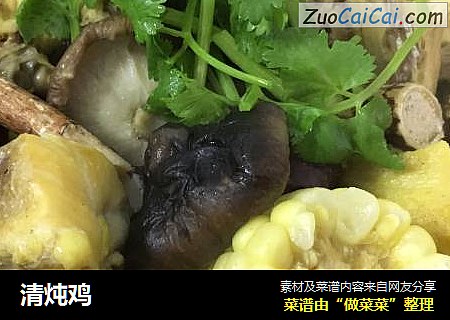 清炖鸡