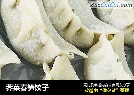 荠菜春笋饺子