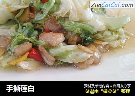 手撕莲白