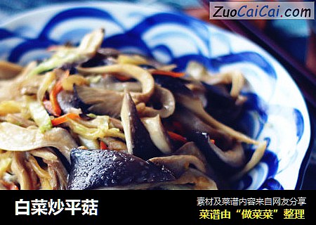 白菜炒平菇