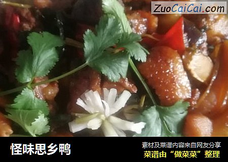 怪味思乡鸭