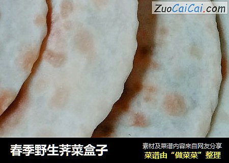 春季野生荠菜盒子