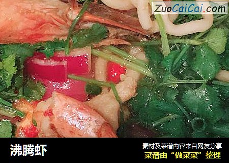沸腾虾
