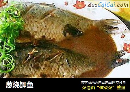 葱烧鲫鱼