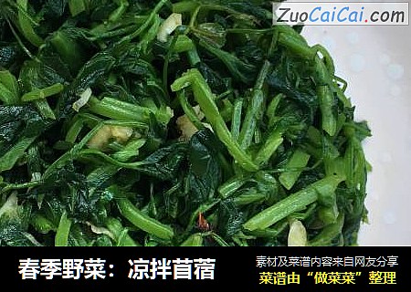 春季野菜：凉拌苜蓿