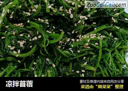 凉拌苜蓿