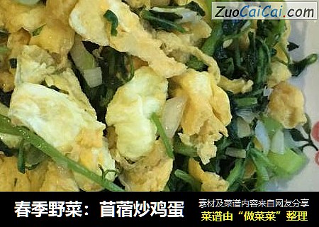 春季野菜：苜蓿炒鸡蛋