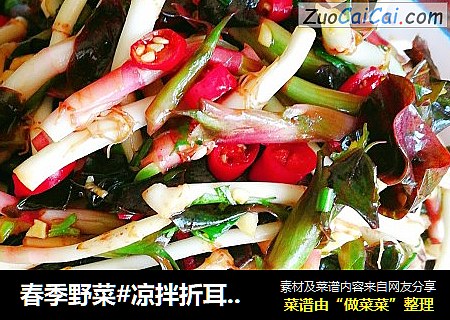 春季野菜#凉拌折耳根#