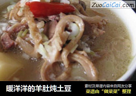 暖洋洋的羊肚炖土豆