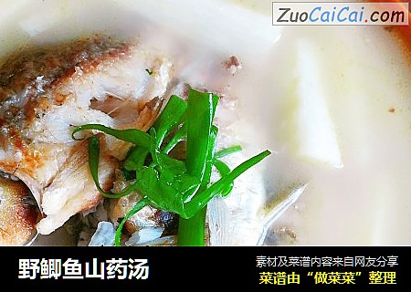 野鲫鱼山药汤