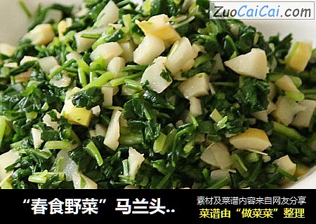 “春食野菜”马兰头拌竹笋