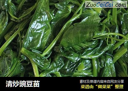 清炒豌豆苗