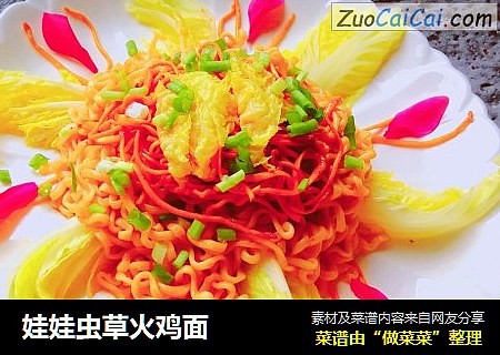 娃娃虫草火鸡面