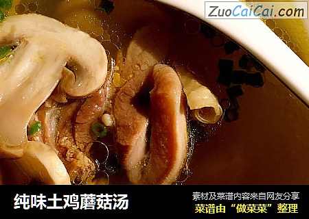 纯味土鸡蘑菇汤