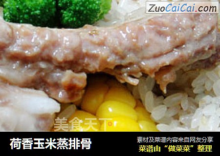 荷香玉米蒸排骨