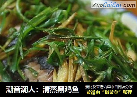 潮音潮人：清蒸黑鸡鱼