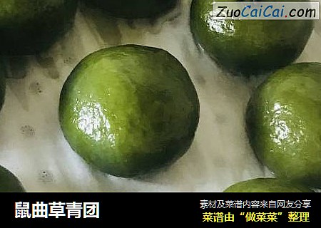 鼠曲草青团