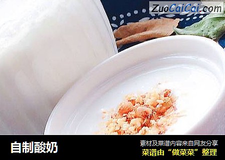 自制酸奶