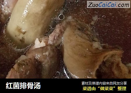 红菌排骨汤