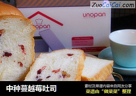 中种蔓越莓吐司