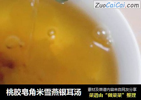 桃胶皂角米雪燕银耳汤
