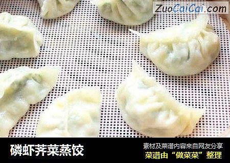 磷虾荠菜蒸饺