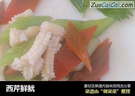 西芹鲜鱿