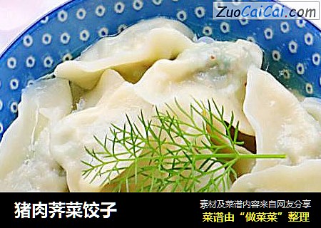 猪肉荠菜饺子