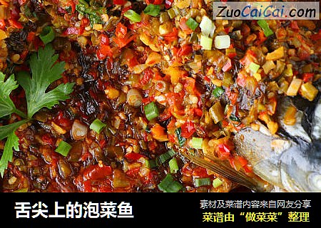 舌尖上的泡菜鱼