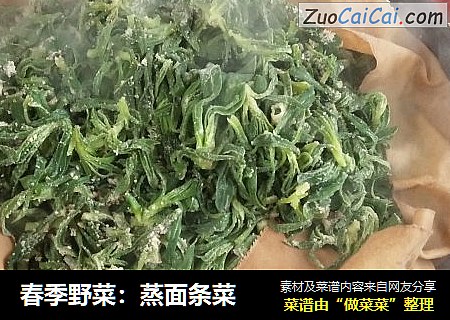 春季野菜：蒸面条菜