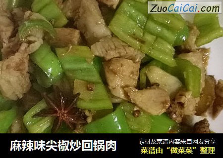 麻辣味尖椒炒回锅肉