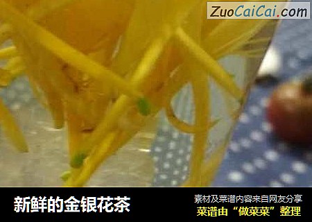 新鲜的金银花茶