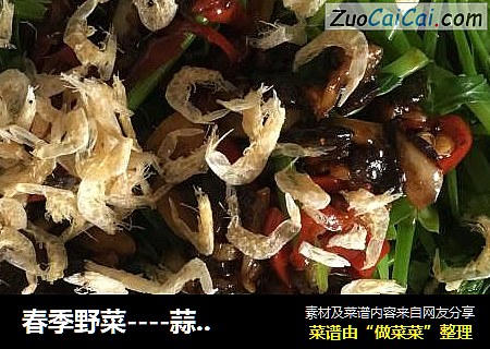 春季野菜----蒜香豆豉豌豆尖