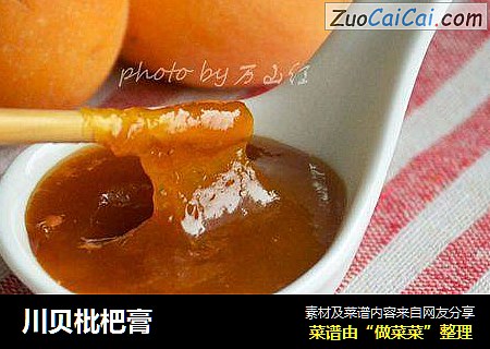 川贝枇杷膏