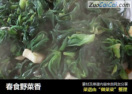 春食野菜香