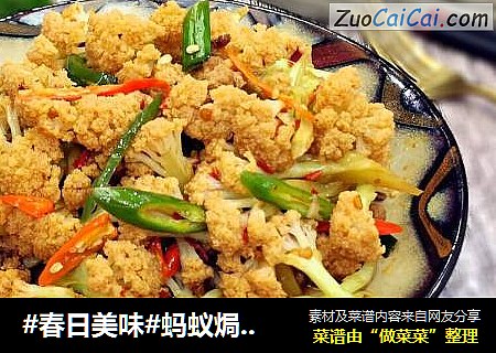 #春日美味#蚂蚁焗香辣花菜