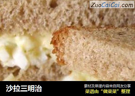 沙拉三明治