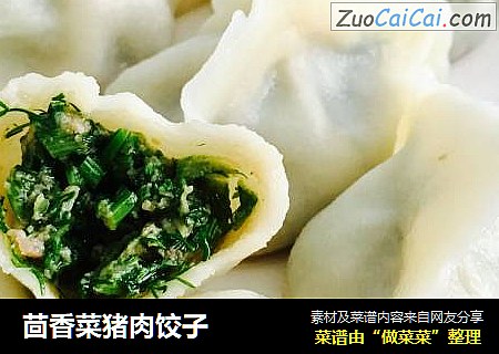 茴香菜猪肉饺子