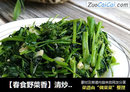 春食野菜香