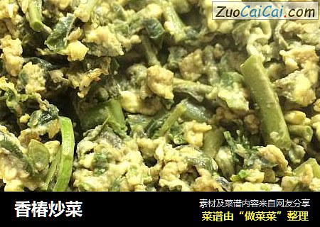 香椿炒菜