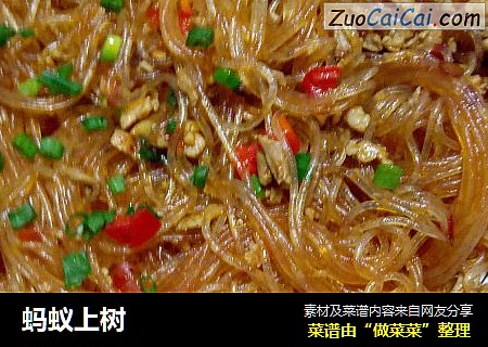 蚂蚁上树