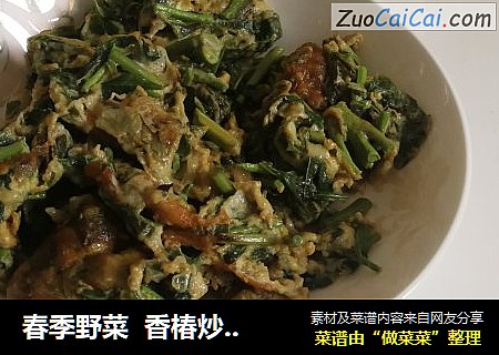 春季野菜  香椿炒鸡蛋